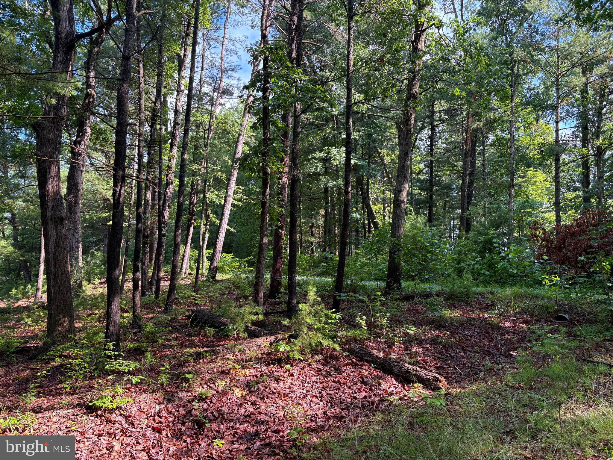 ICE MOUNTAIN - Residential