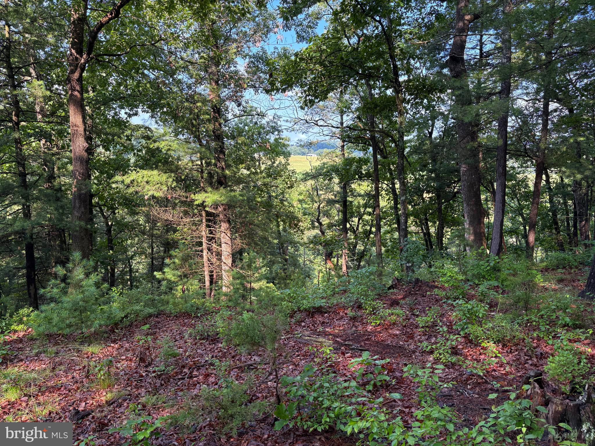 ICE MOUNTAIN - Residential