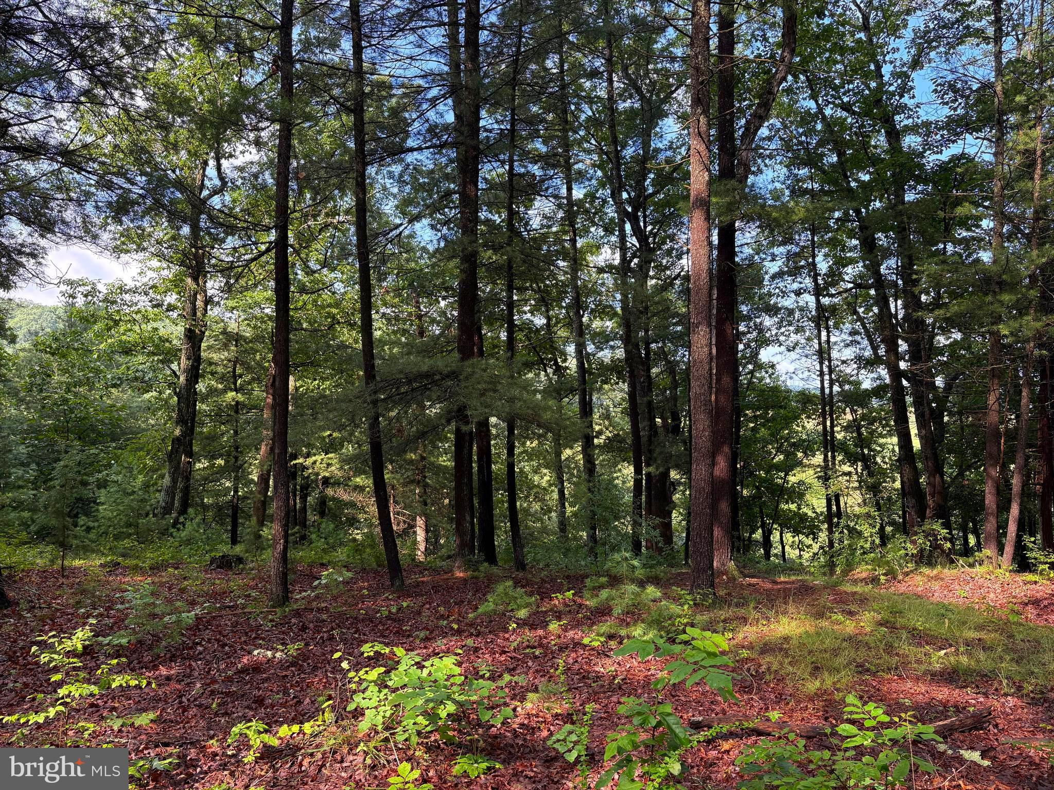 ICE MOUNTAIN - Residential