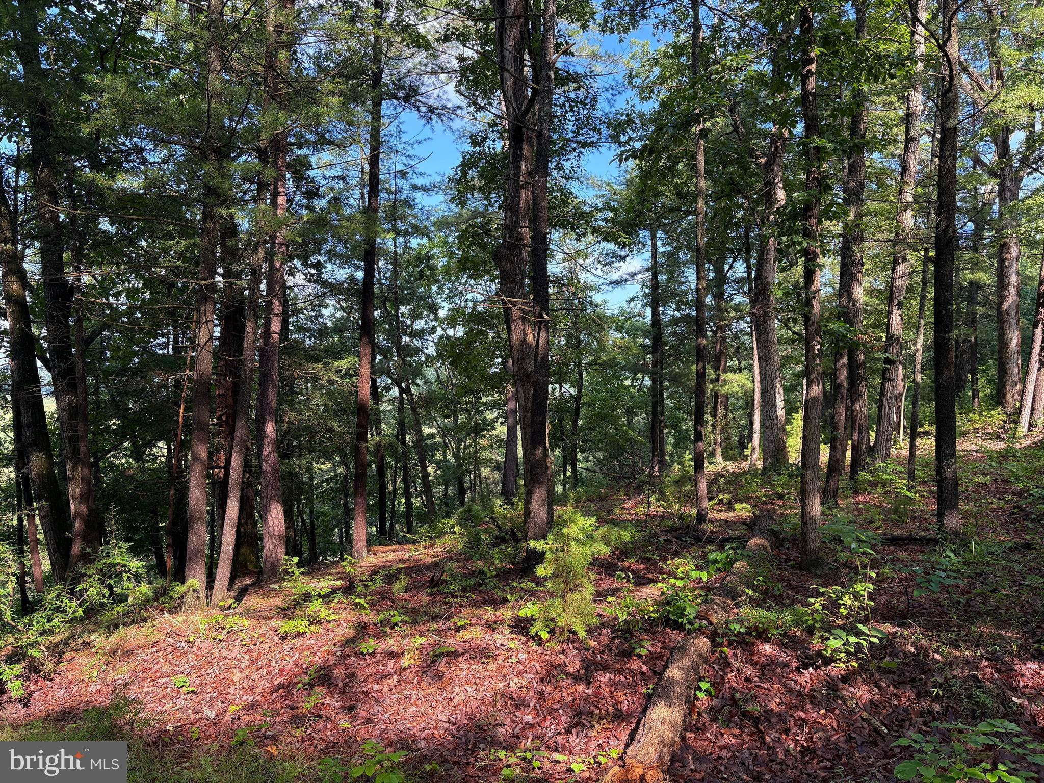 ICE MOUNTAIN - Residential