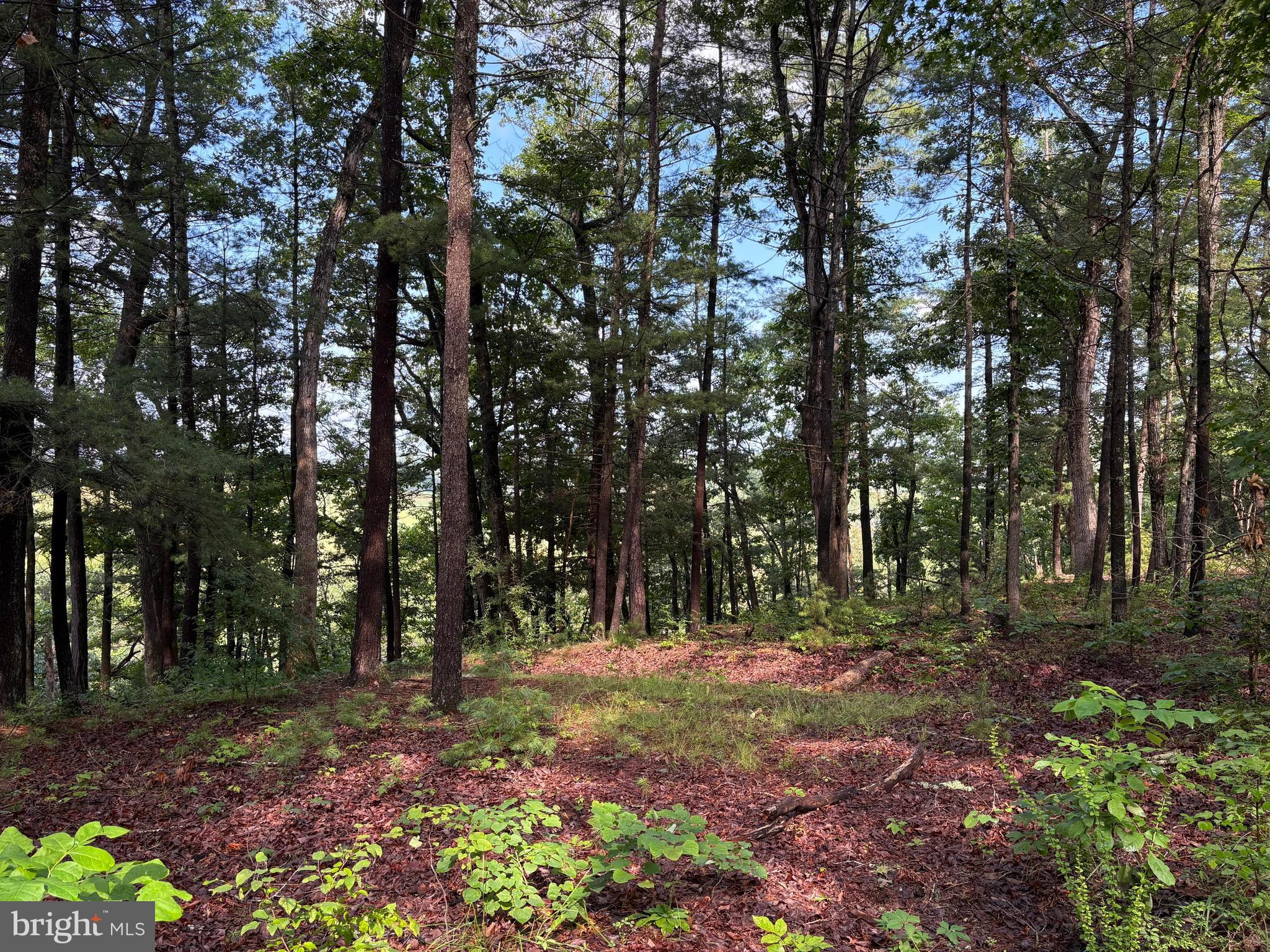 ICE MOUNTAIN - Residential