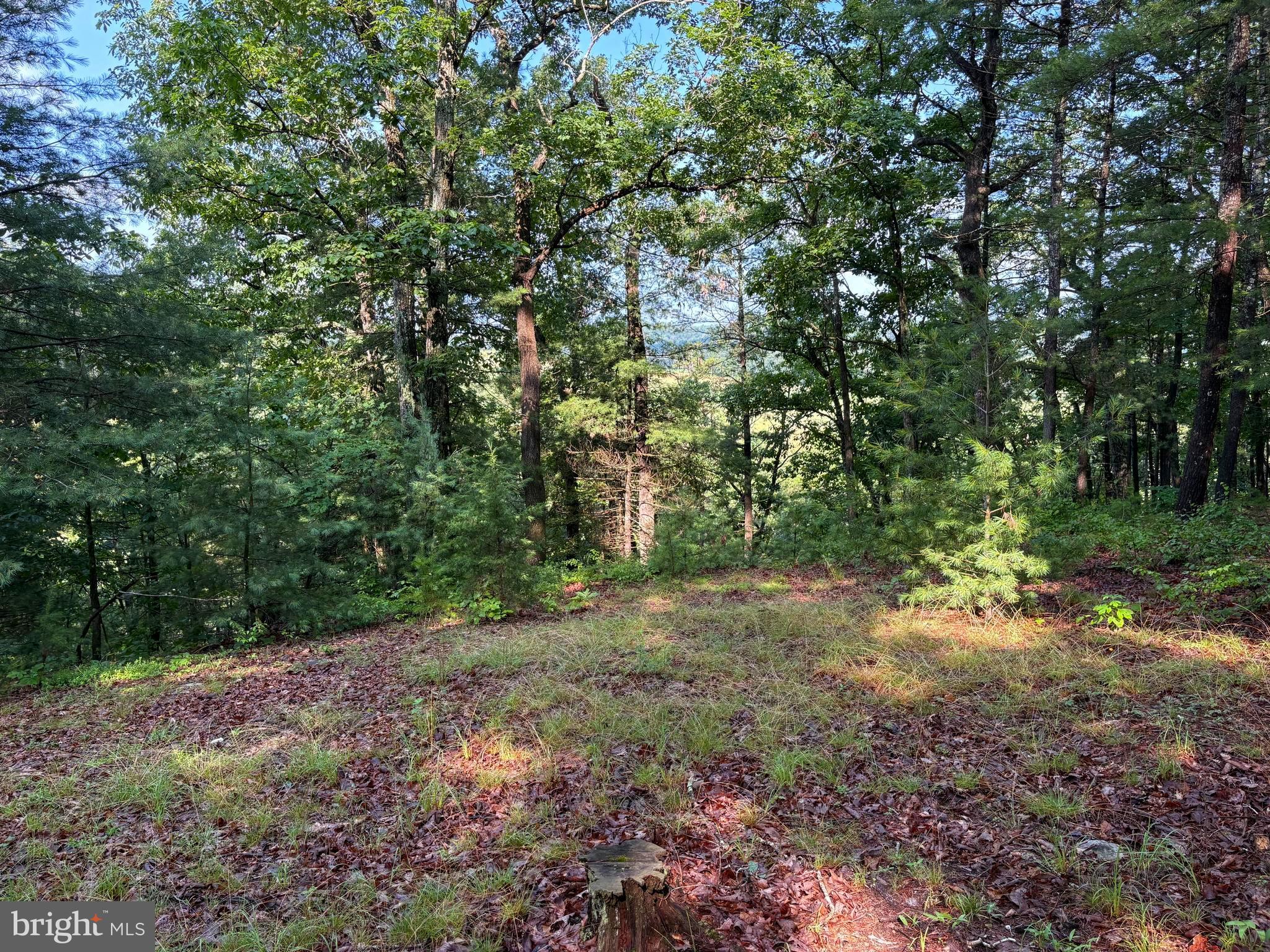 ICE MOUNTAIN - Residential