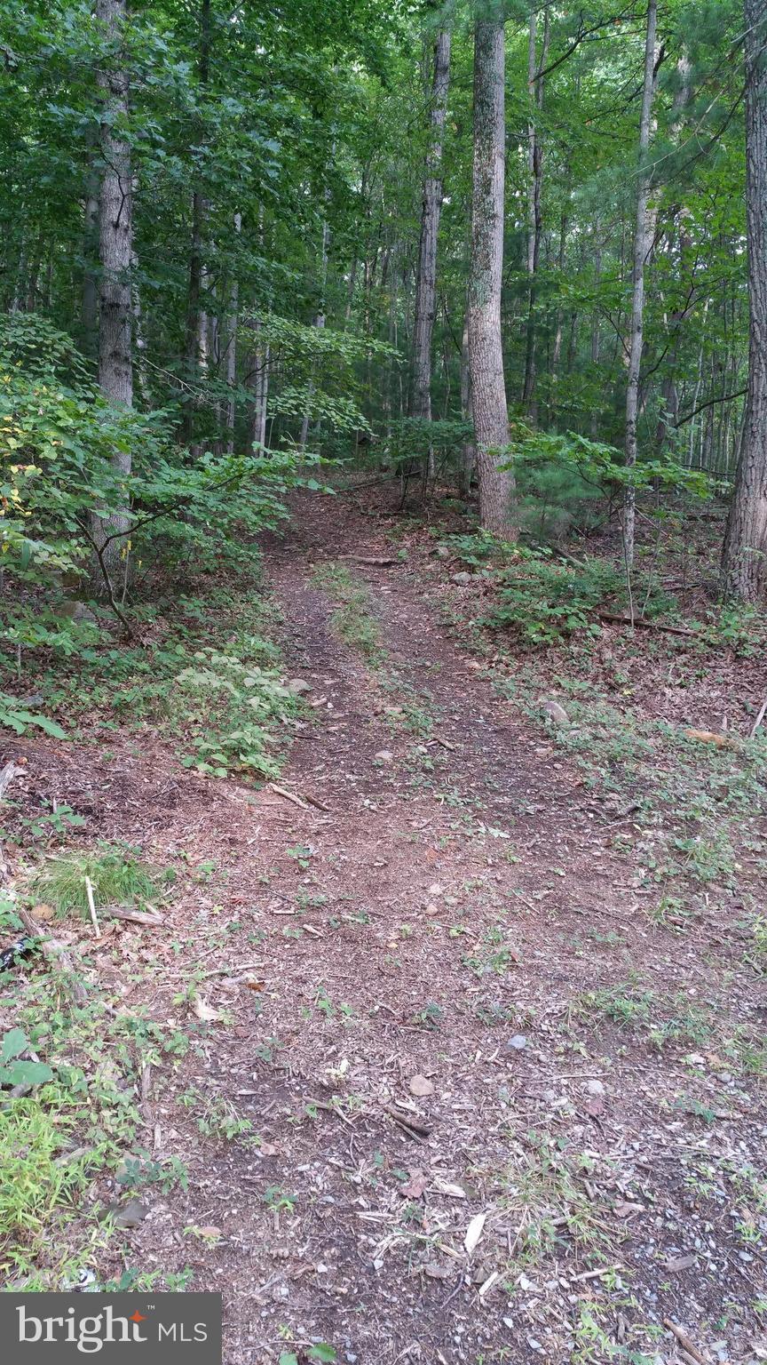 SHENANDOAH HIGHLANDS - Land