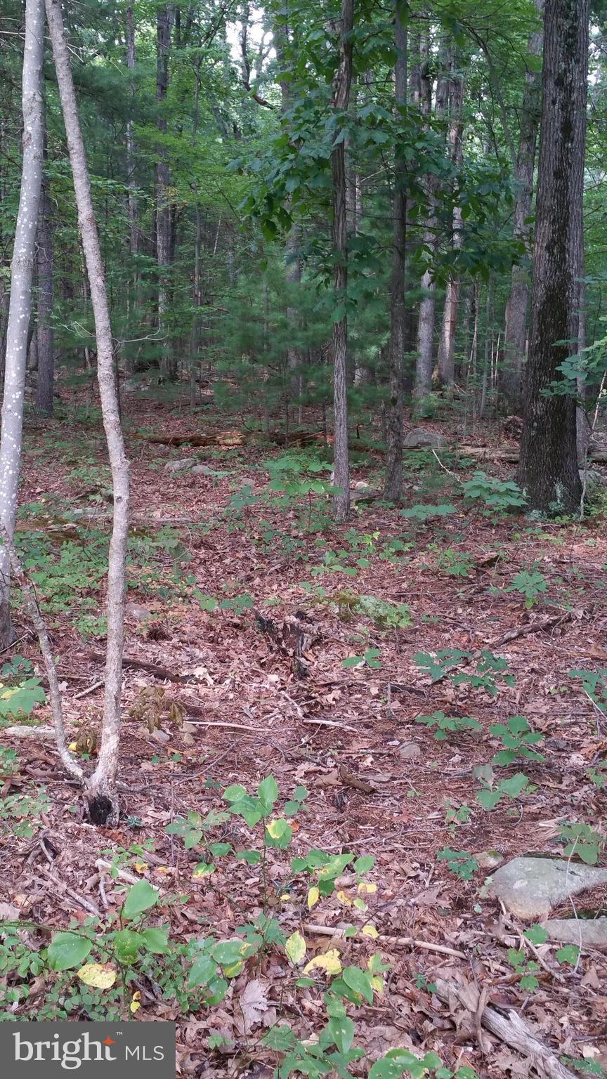 SHENANDOAH HIGHLANDS - Land