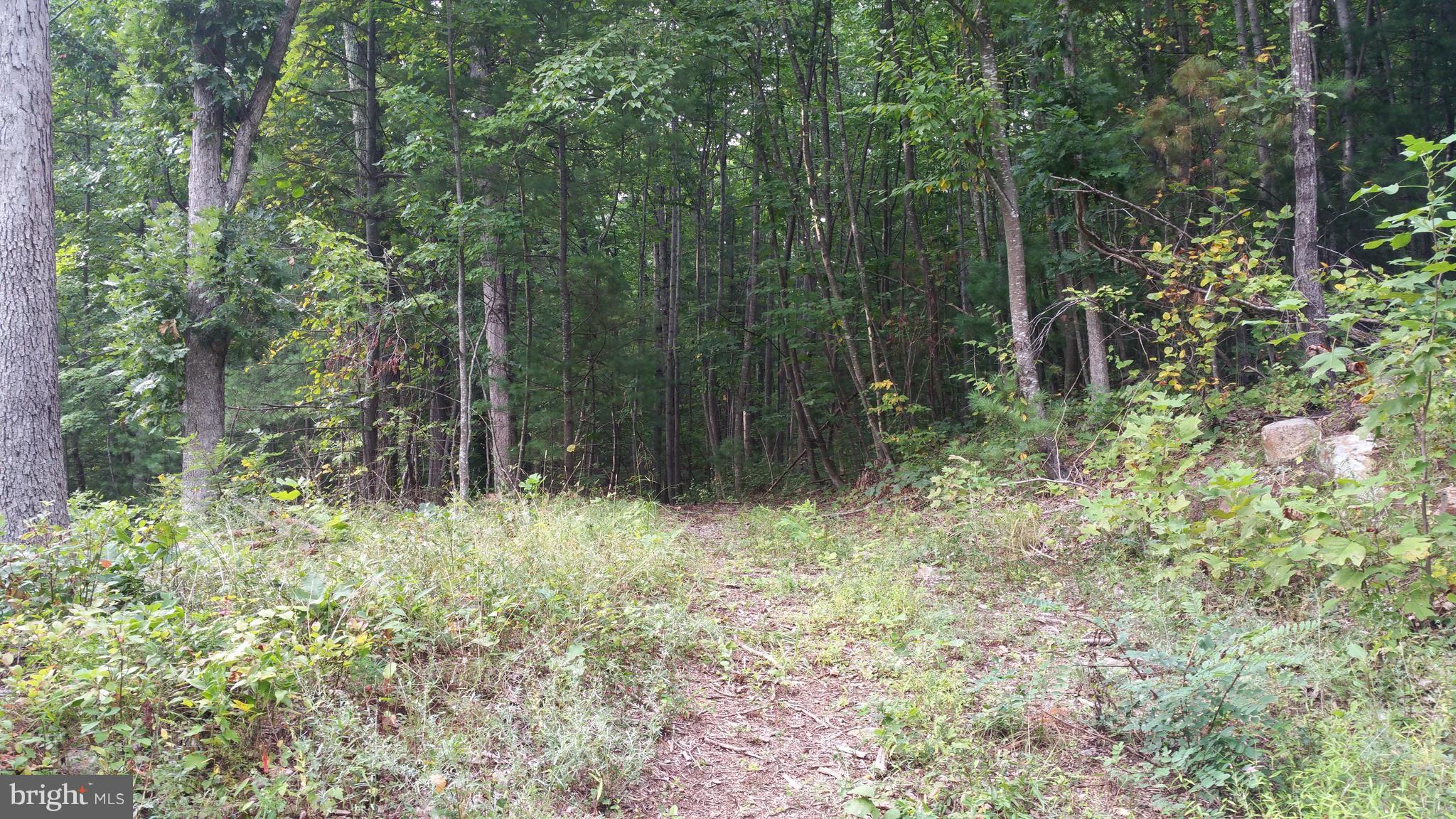 SHENANDOAH HIGHLANDS - Land