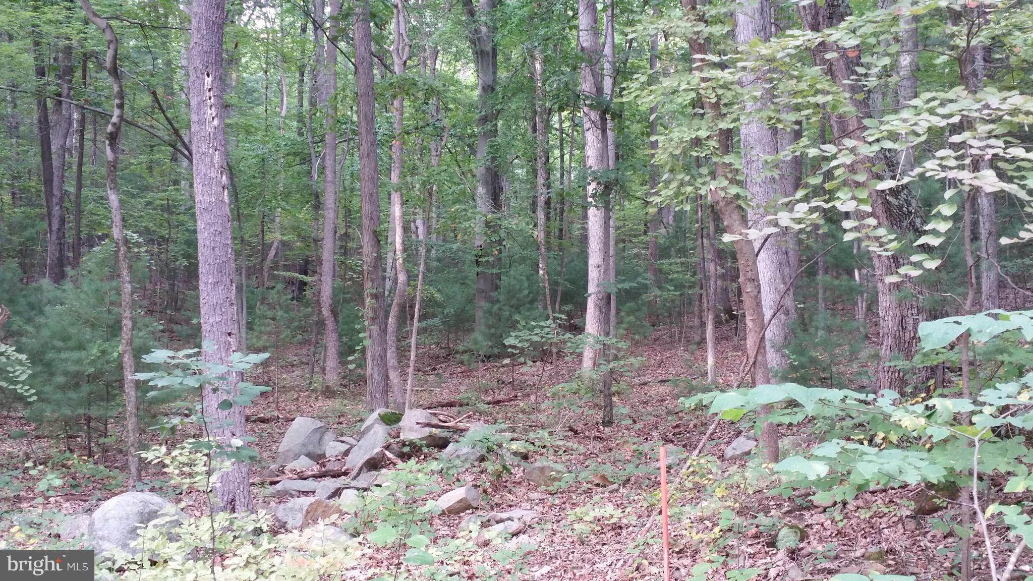 SHENANDOAH HIGHLANDS - Land