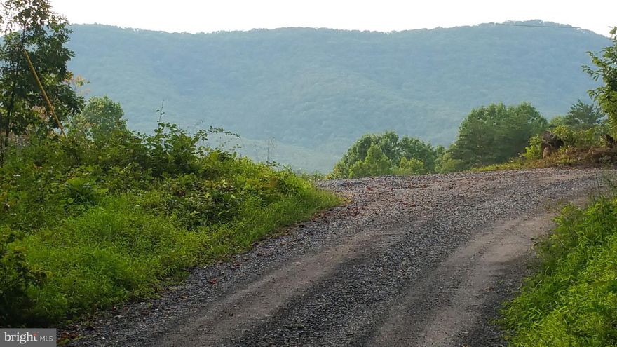 Three residential lots totaling 2.2 acres of land w/3 BR perc letter on file w/county.  Beautiful wooded land, w/gentle slope.  Great location for home w/ potential mountain views.  Nice and quiet but not far from town.  Perfect for your mountain getaway!! Close to Shenandoah National Park, hiking, biking.  3 lots:  91b-2-c47, 91b-2-c48, 91b-2-c49 of 0.66, 0.72, 0.8253 acreage totaling 2.2 acres