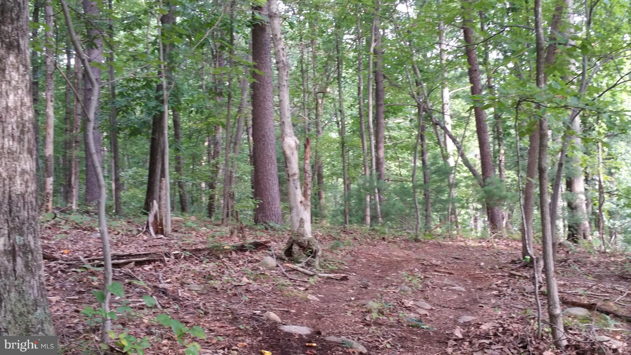 SHENANDOAH HIGHLANDS - Land