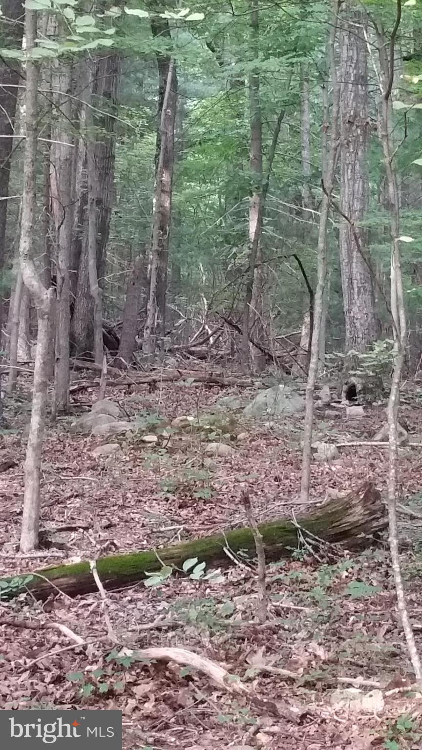 SHENANDOAH HIGHLANDS - Land