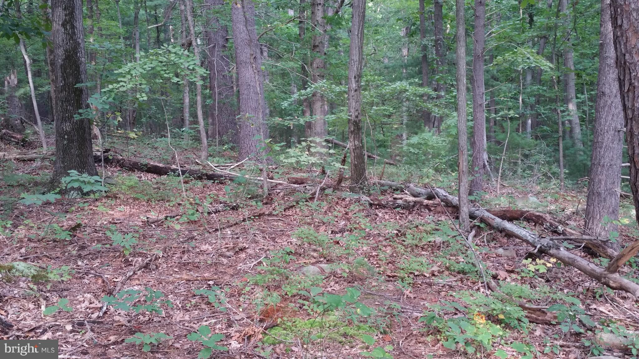 SHENANDOAH HIGHLANDS - Land