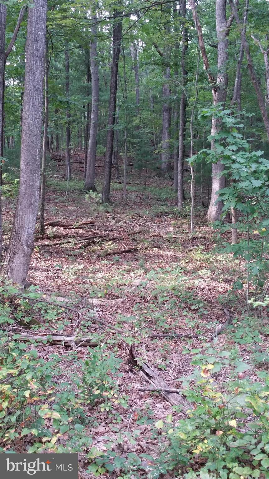 SHENANDOAH HIGHLANDS - Land