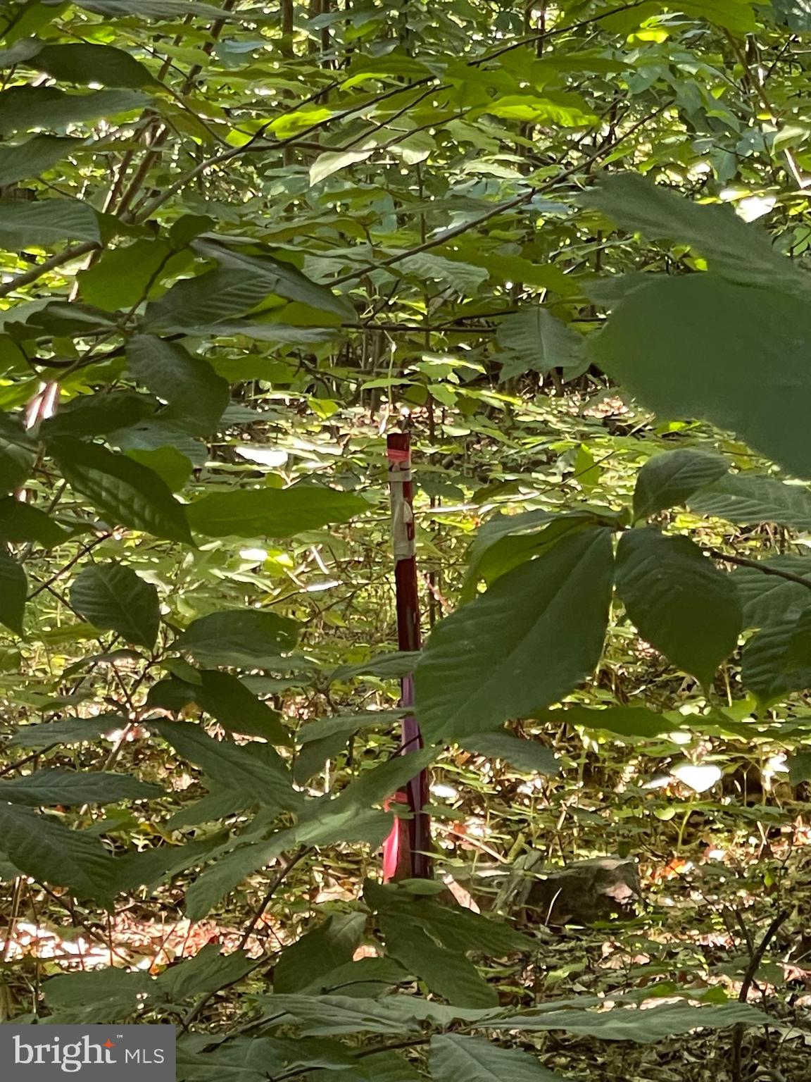 NONE AVAILABLE - Land