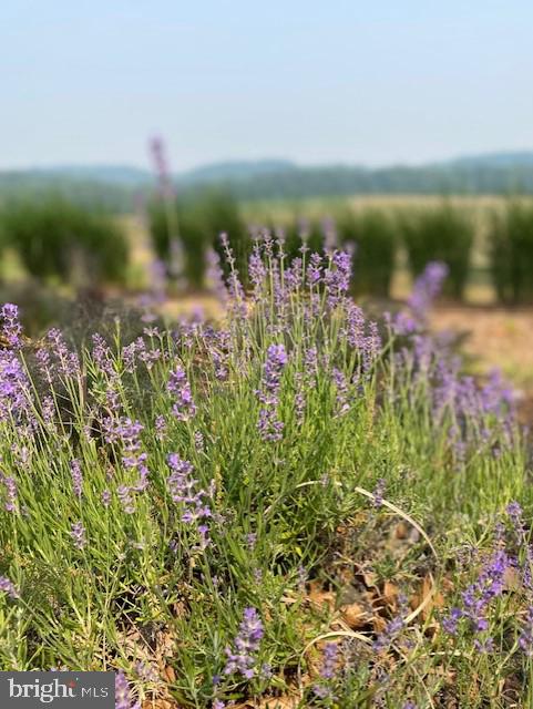 DUG HILL - Residential