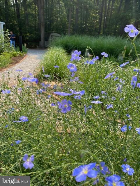 DUG HILL - Residential