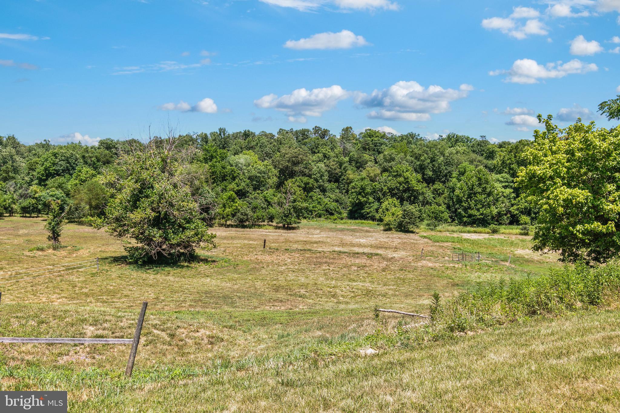 CATALPA - Residential