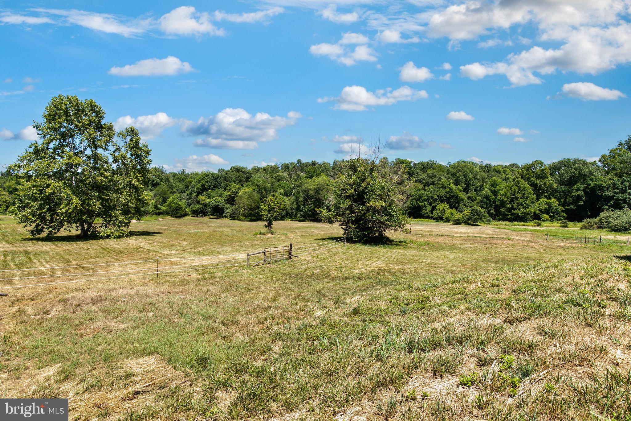 CATALPA - Residential