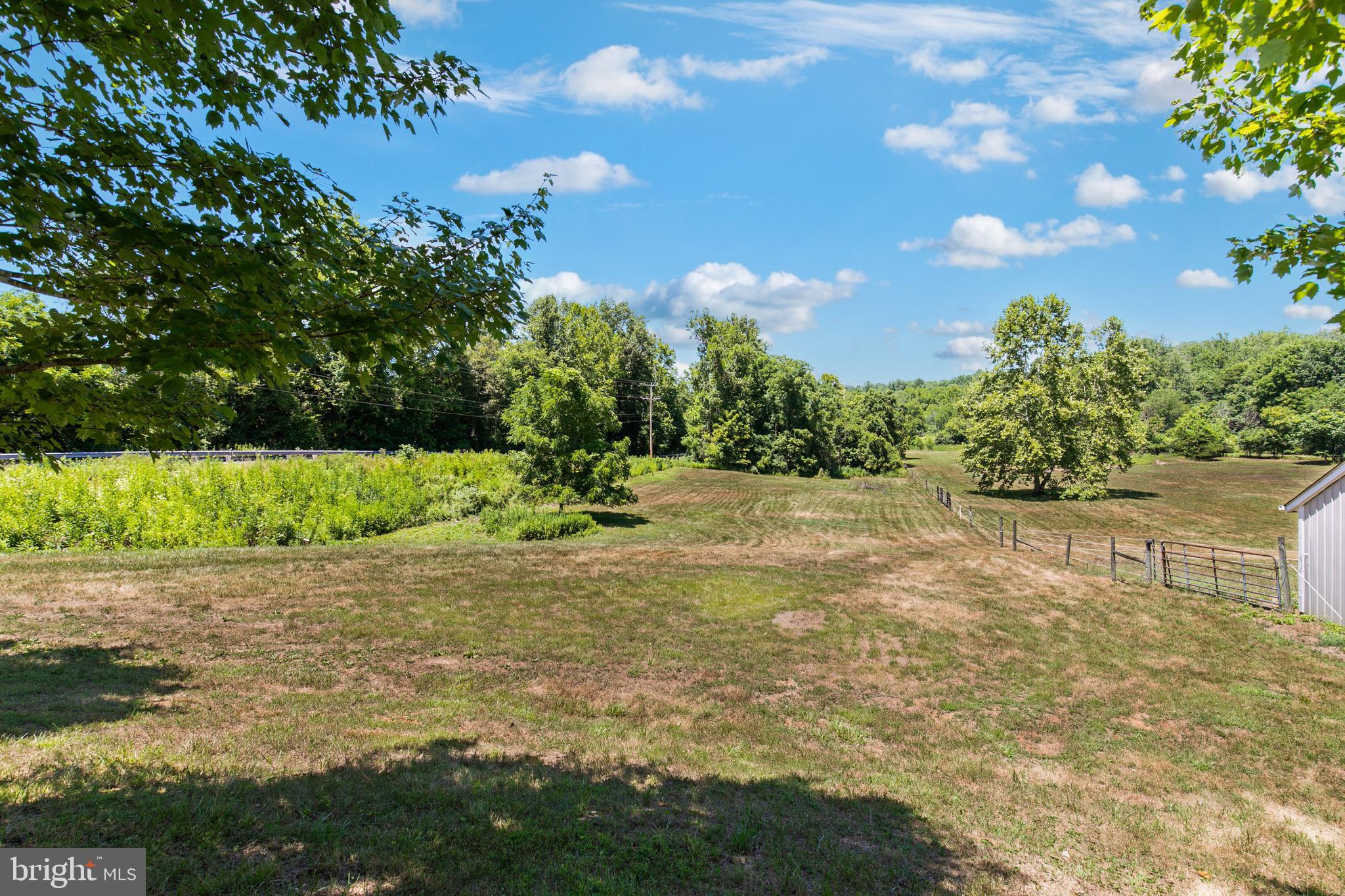 CATALPA - Residential