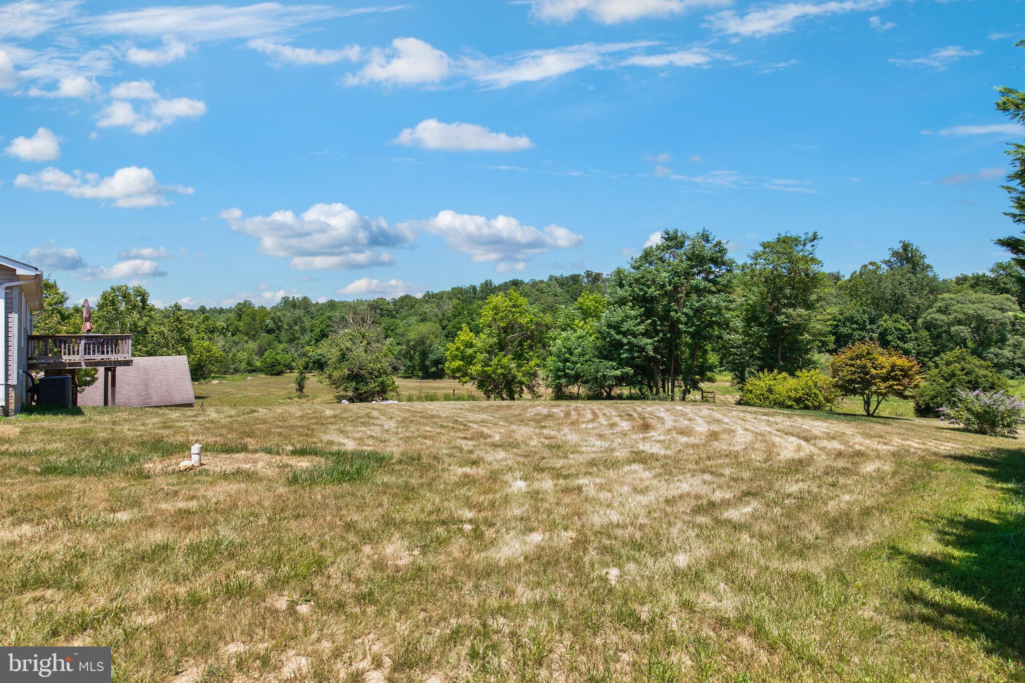 CATALPA - Residential