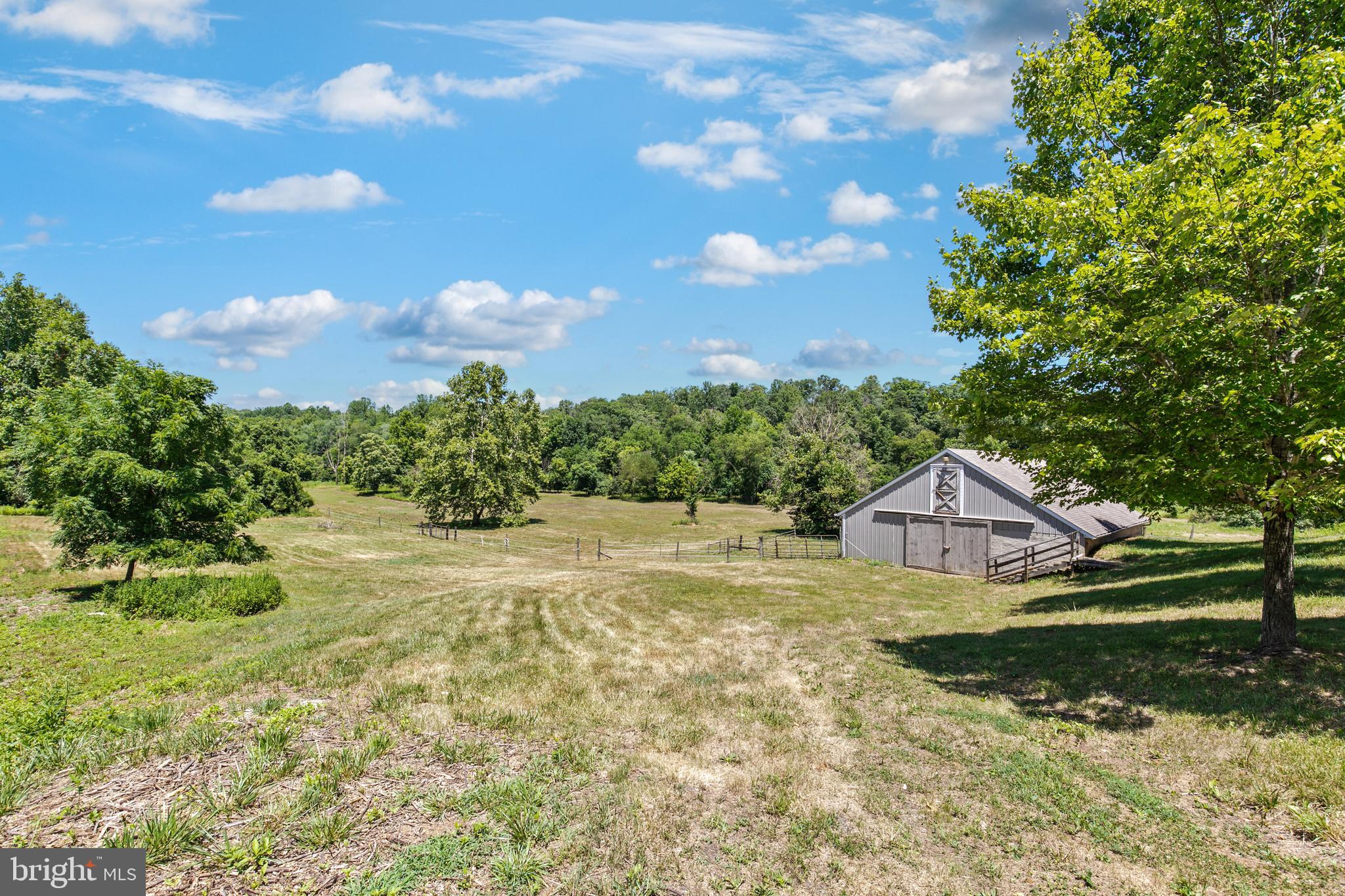 CATALPA - Residential