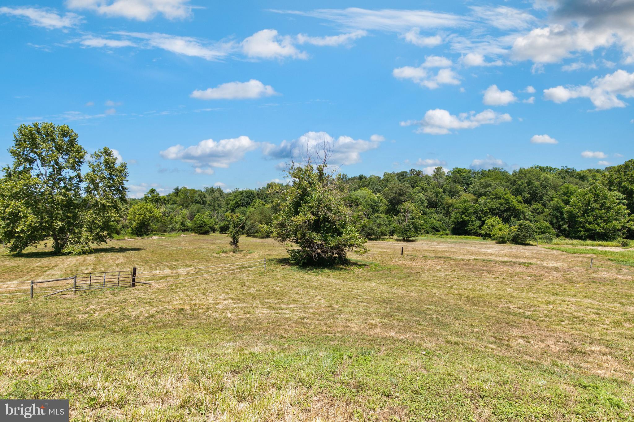 CATALPA - Residential