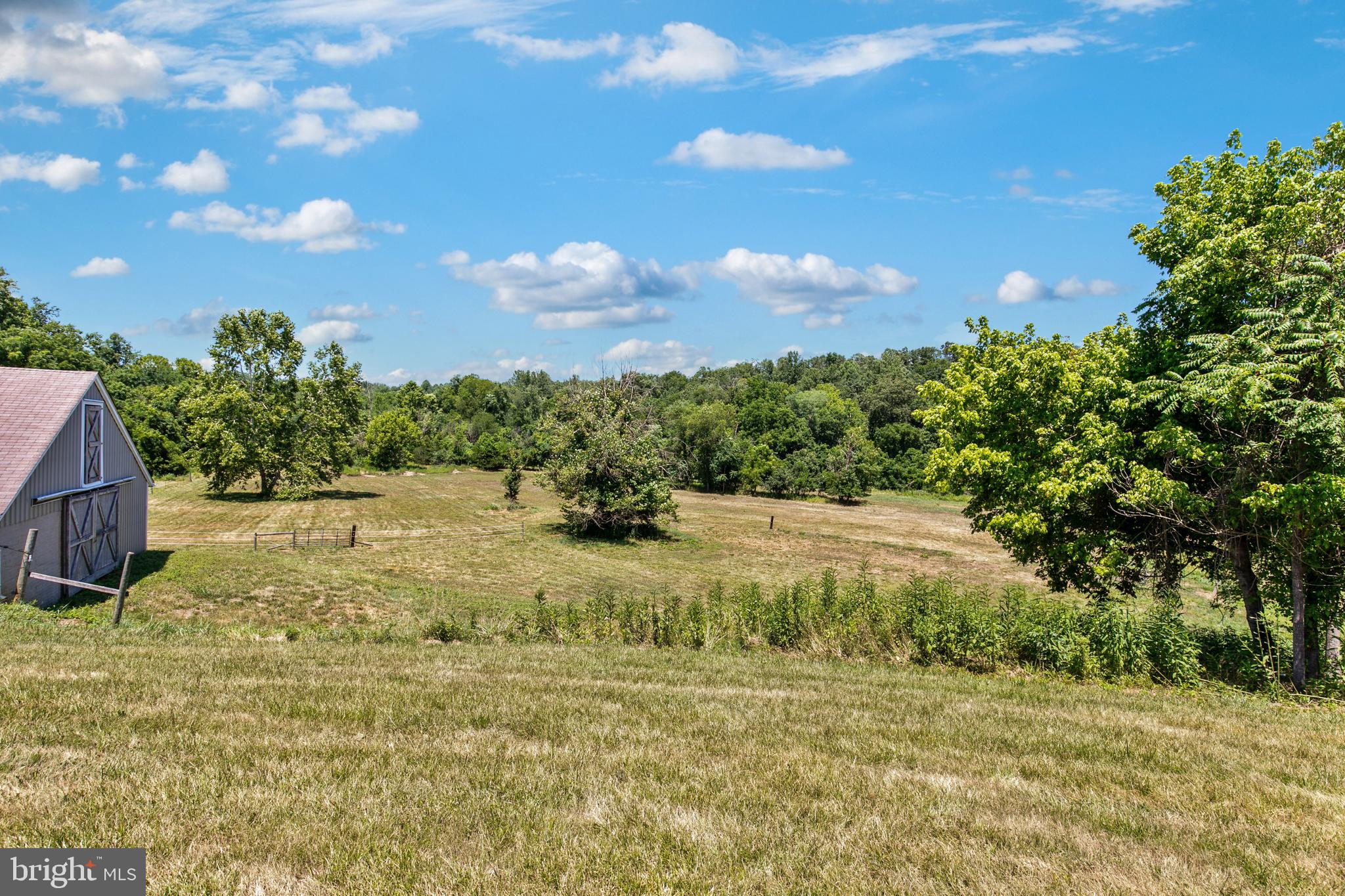 CATALPA - Residential