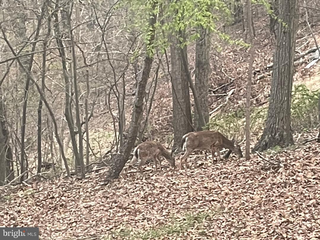 DEERWOOD - Residential