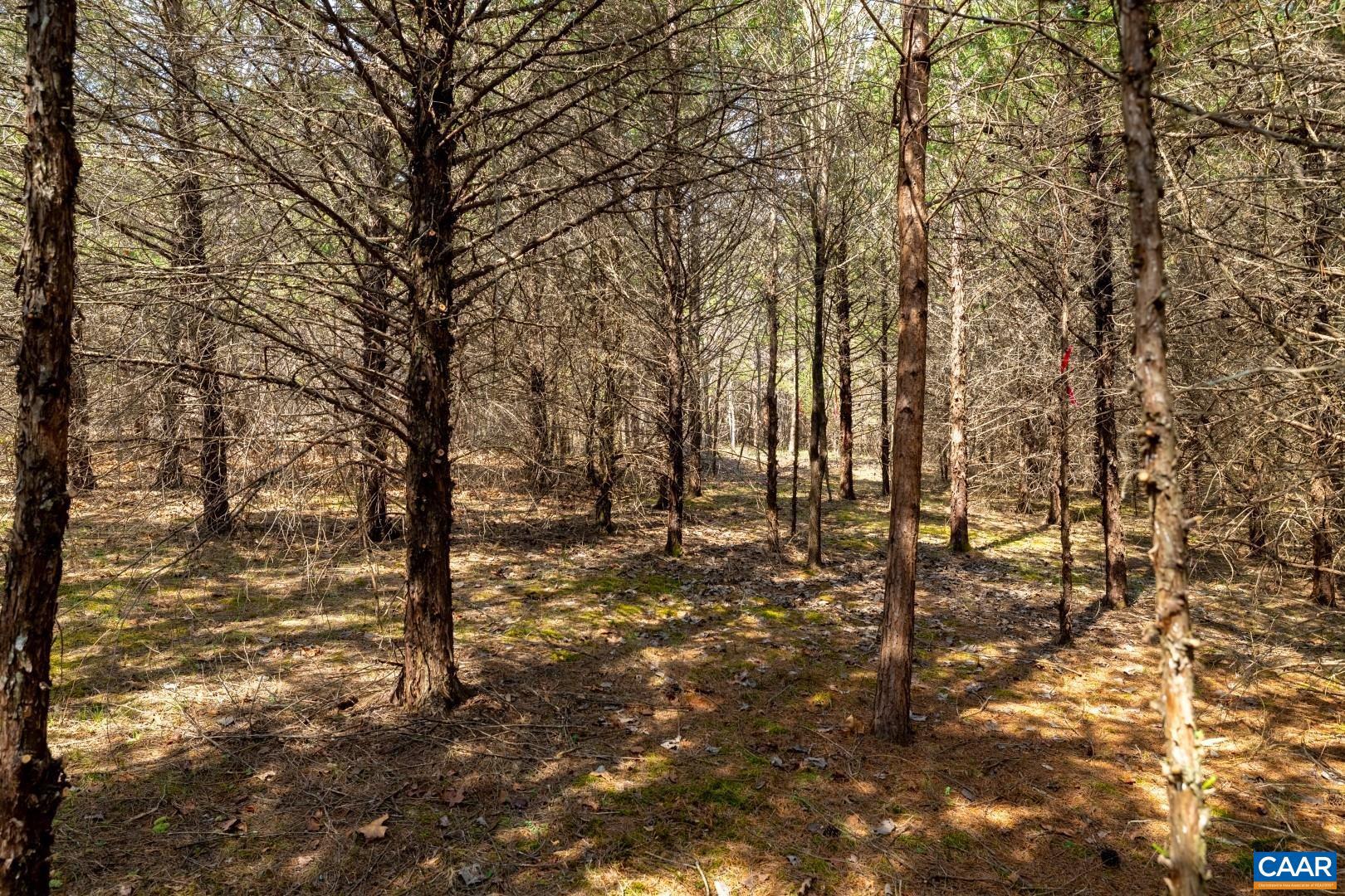 1280 JONES OVERLOOK 53