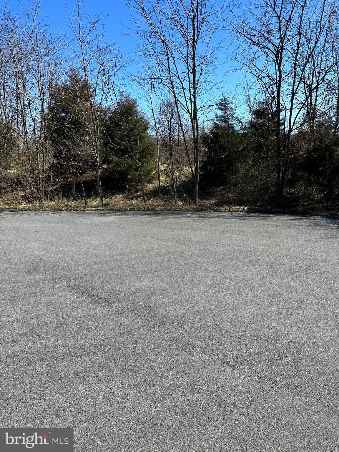 SPRINGS AT SHEPHERDSTOWN - Land