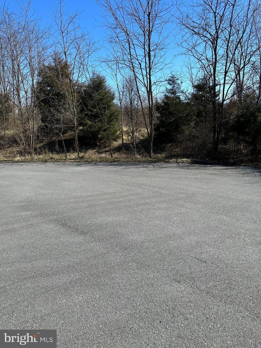 Build your dream home on this beautiful 5.97 acre lot located in the upscale community of Springs at Shepherdstown just minutes from  Historic Shepherdstown WV offering shopping, dining, Shepherd University and wellness center.  Easy access to surrounding Metro DC amenities. Come  to Shepherdstown WV. and build your custom home.  Horses, sheep and livestock are permitted on this lot.  See Article X11 (Agriculture) of the covenants and restrictions.  A well has been installed on this property.