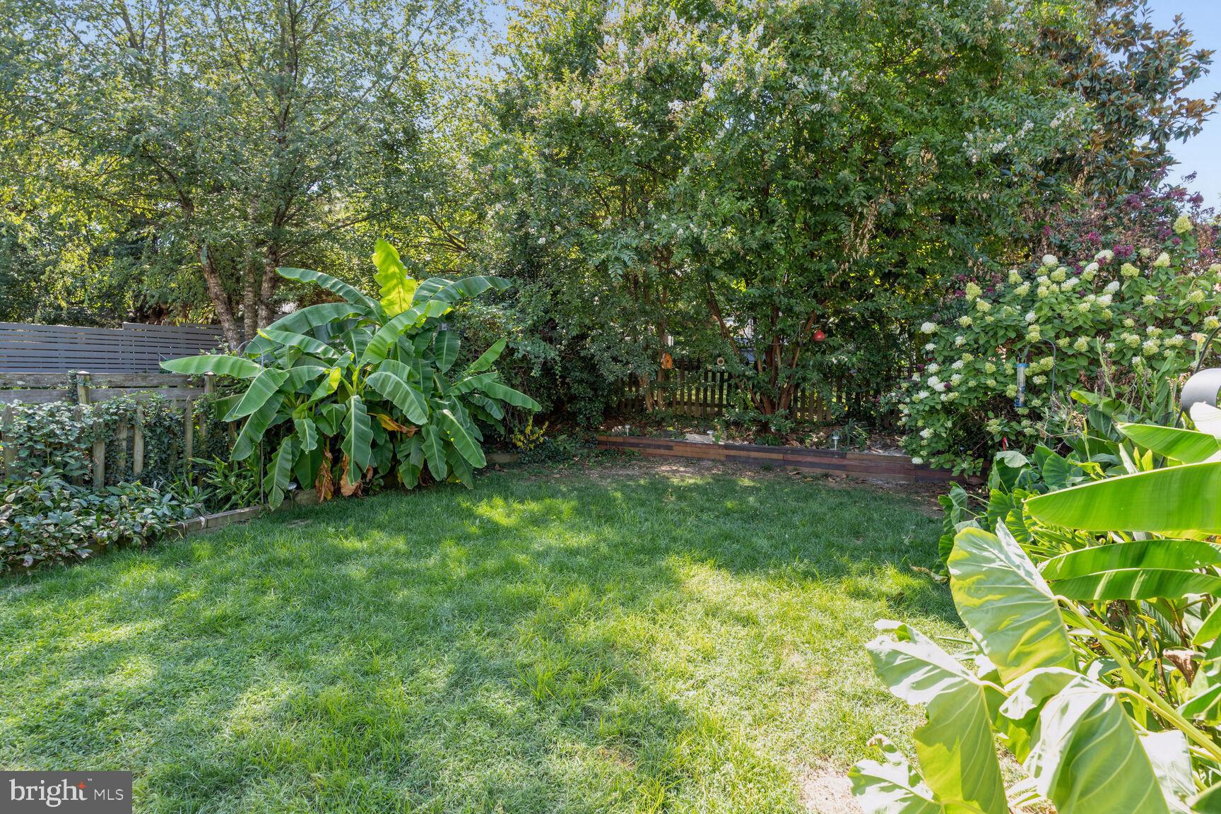 CLARENDON - Residential