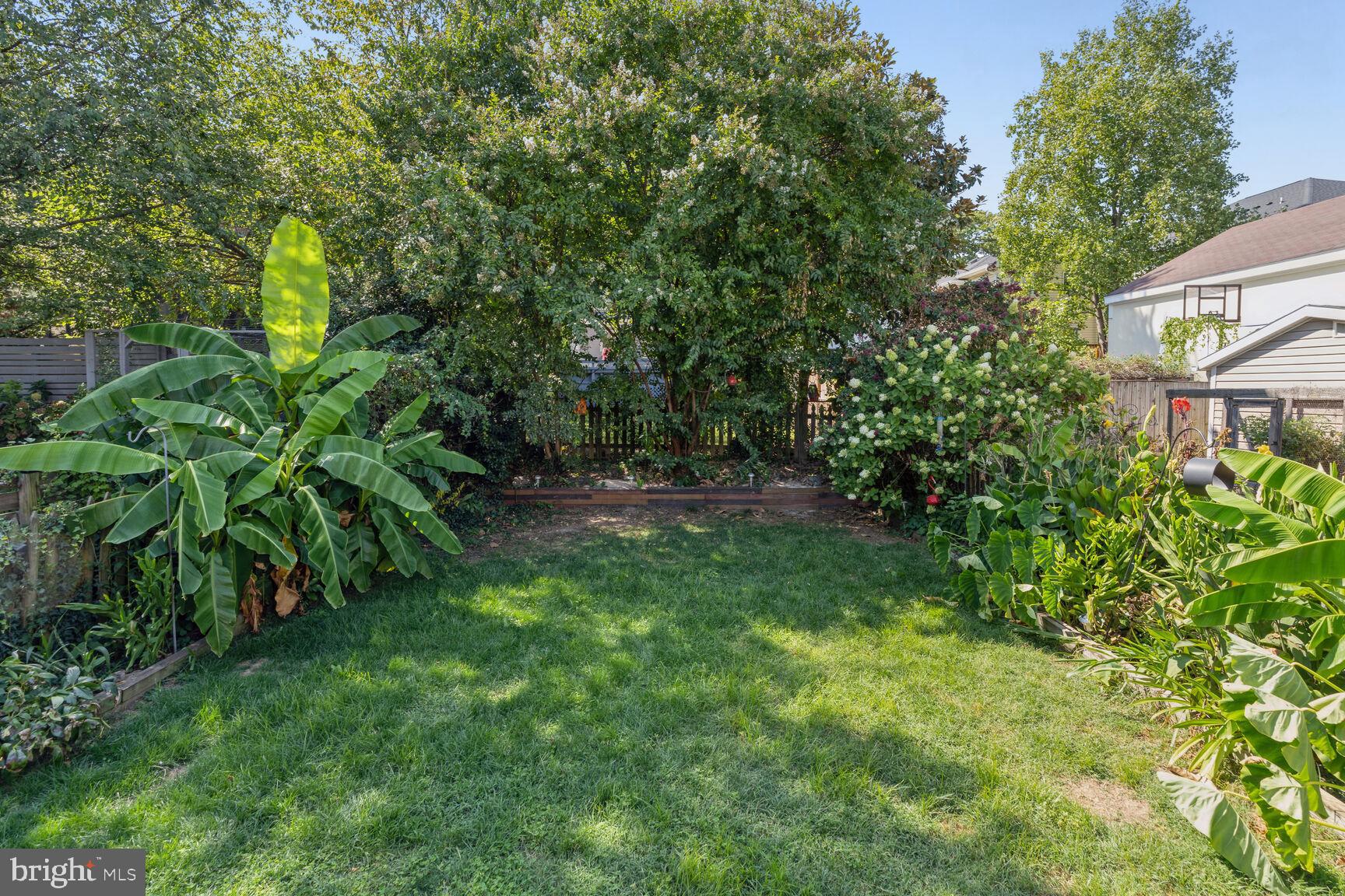 CLARENDON - Residential