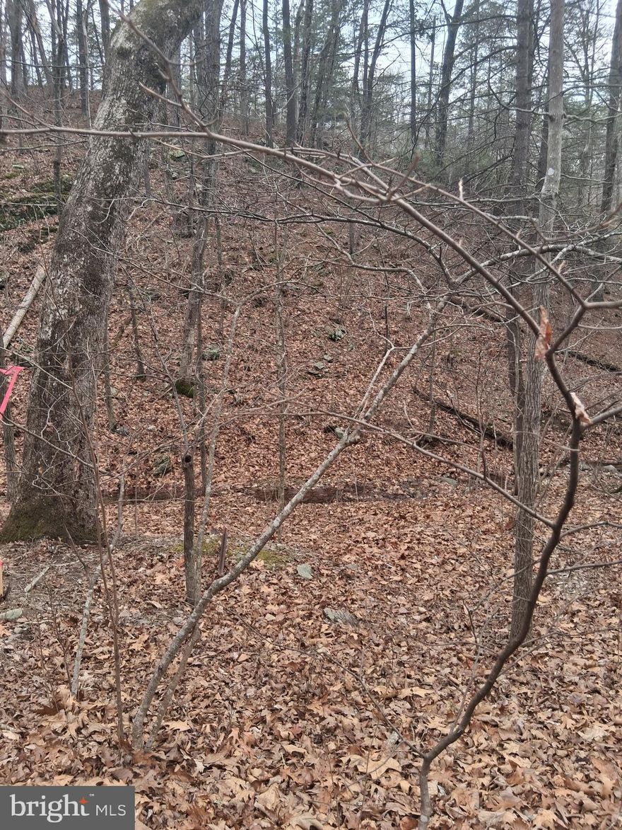 5 lots total convey in sale, tax ID are as follows 7A-1-85, 7A-1-86, 7A-1-87, 7A-1-88, 7A-1-89. OWNER HAS NOT COMPLETED SOIL WORK. ROAD GETTING TO LOTS IS NOT INSTALLED BUT CONVERSATION HAVE BEGAN WITH WARREN COUNTY AND SFSD TO DISCUSS ACCESS. OWNER WILL ONLY SELL PACKAGE DEAL ALL 5 LOTS, WILL NOT SELL INDIVIDUALLY.