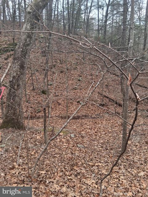 Vacant Land For Sale - Vesey Drive<br/> FRONT ROYAL, VA 22630