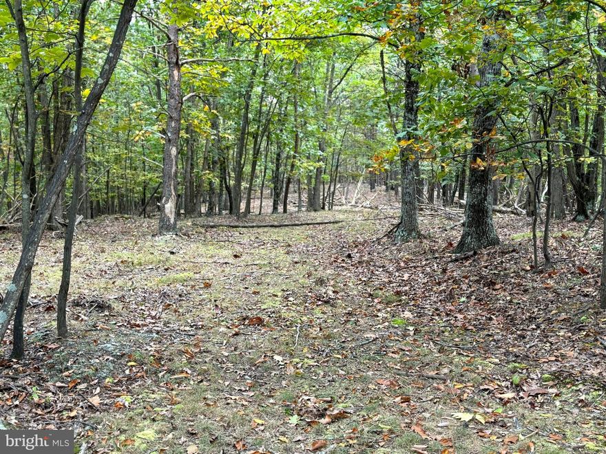FALL IS IN THE AIR. AND JUST LIKE THAT, YOU FOUND AN AFFORDABLE MT. PROPERTY WITH GREAT VALUE IN HAMPSHIRE COUNTY. NOTHING TRICKY HERE; FULLY WALKABLE AND 100% USEABLE, HUNTABLE OR BUILDABLE.  ATV TRAILS AND HIKING TRAILS FROM TOP TO BOTTOM. POWER, PERCED, AND READY TO GO. GET IT RIGHT THIS TIME OR LOSE THE NEXT TIME; CLIMB ABOARD THIS BEAUTIFUL PIECE OF HARDWOODS & PINES. CAMP NOW BUILD LATER. LACE UP THOSE HIKING BOOTS, AND LET'S TAKE A HIKE AND SEE FOR YOURSELF. IT'S  A GREAT DAY TO BE A MOUNTAINEER.