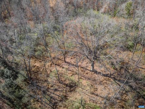 Vacant Land For Sale - Porters Rd<br/> ESMONT, VA 22937