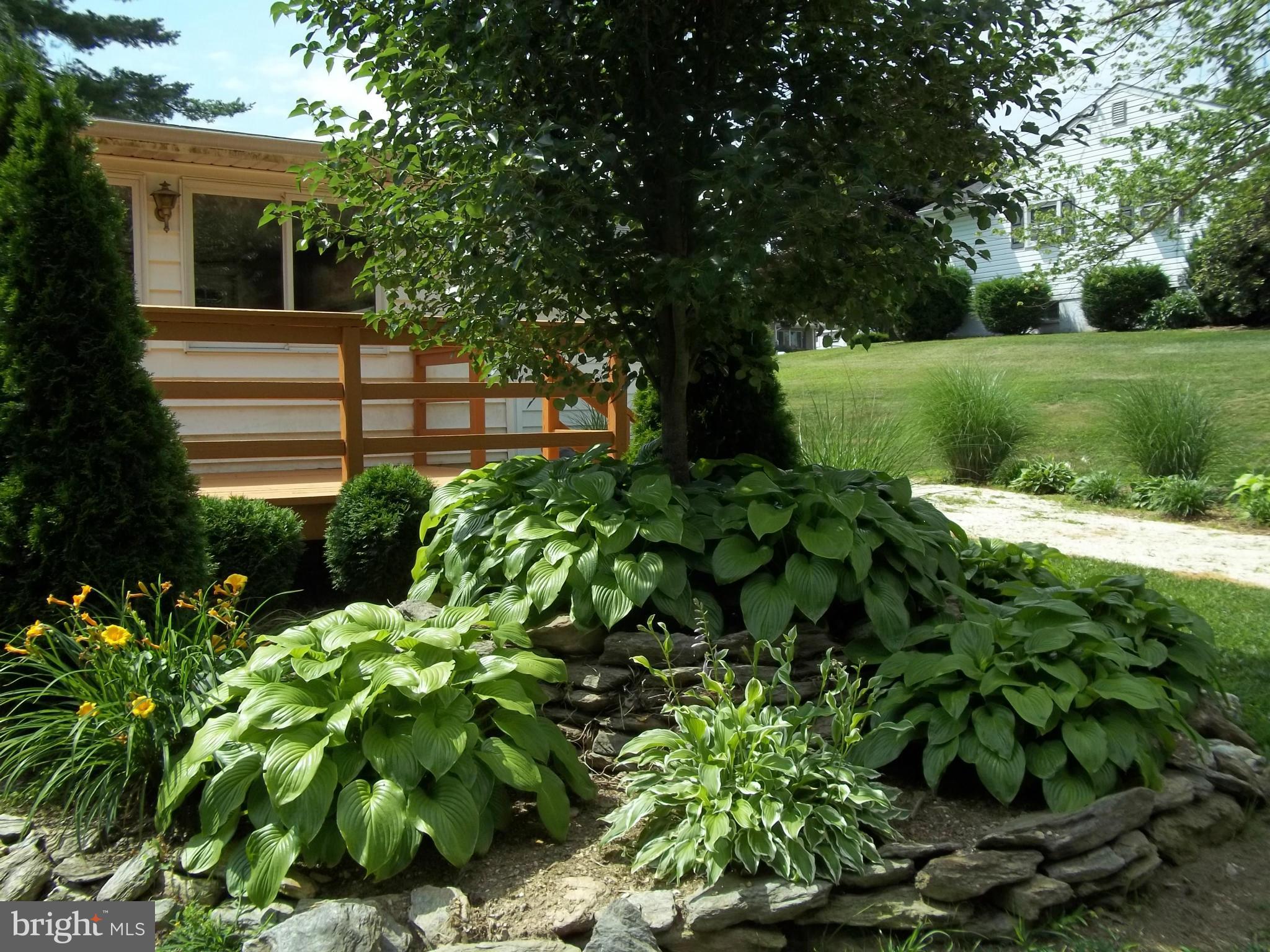 BETHEL RIDGE - Residential