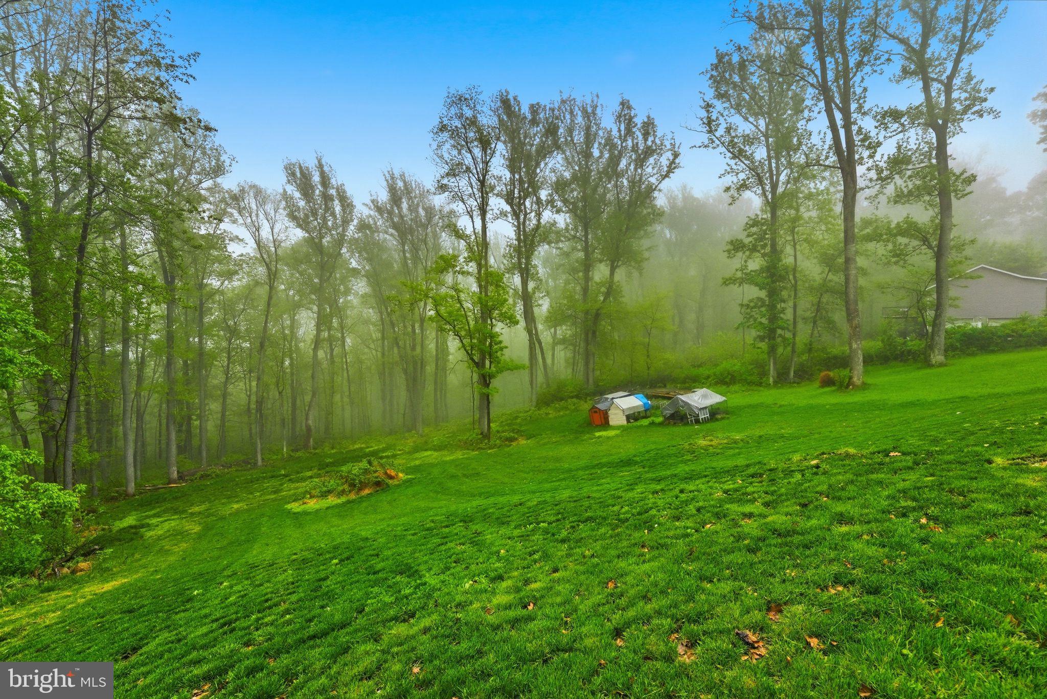SHEN FARMS MT VIEW - Residential