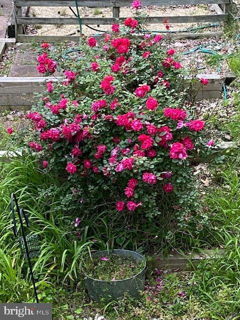 MARLTON - Residential