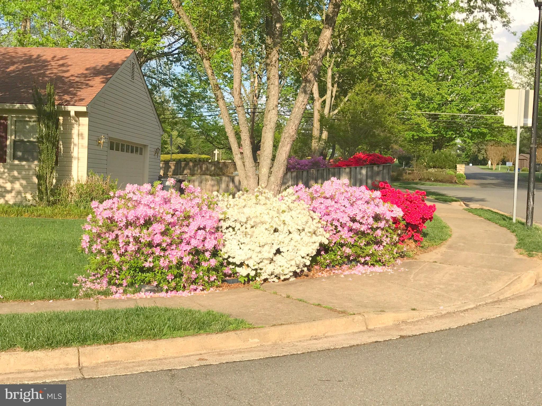 HICKORY FARMS - Residential