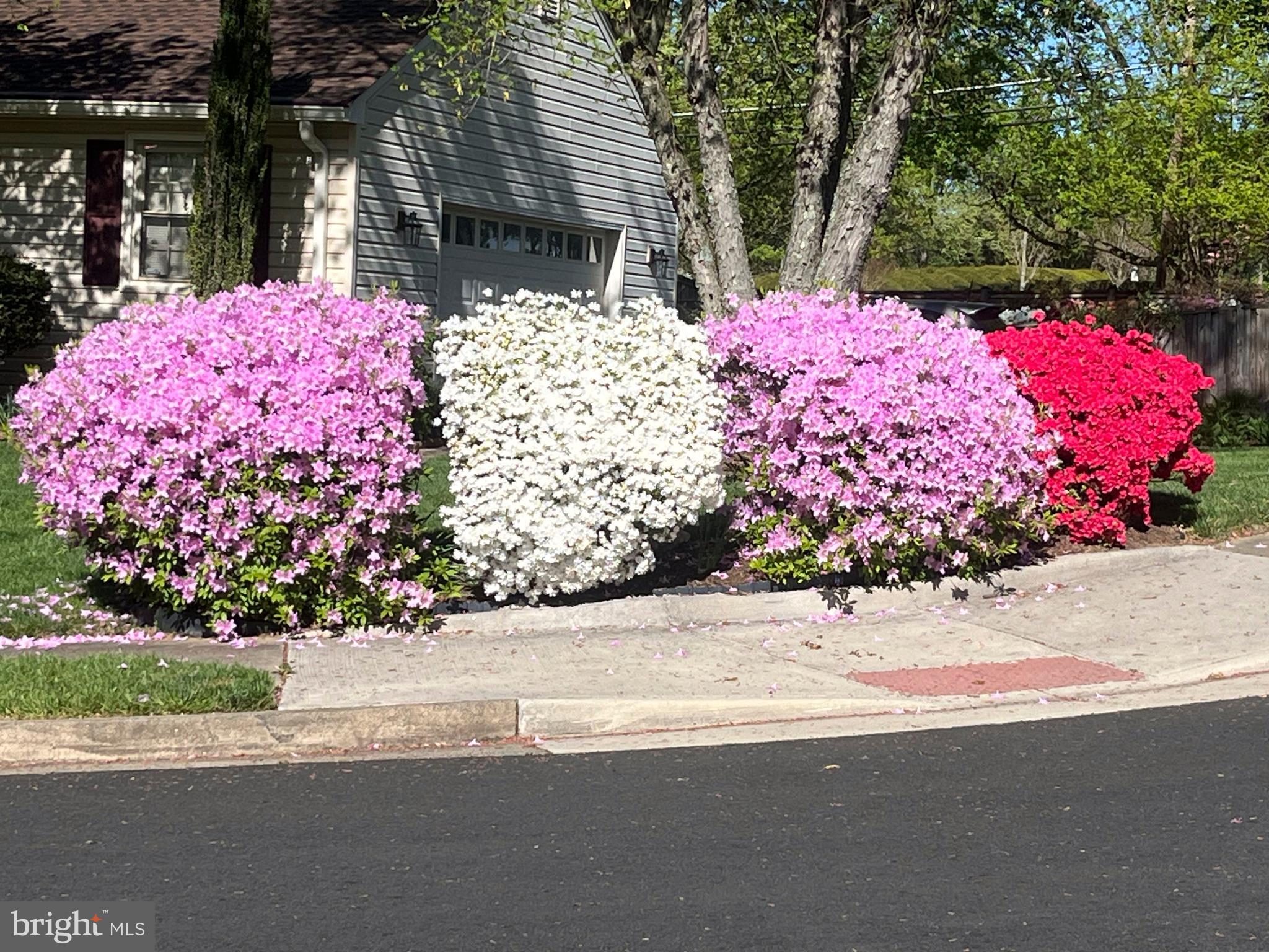 HICKORY FARMS - Residential