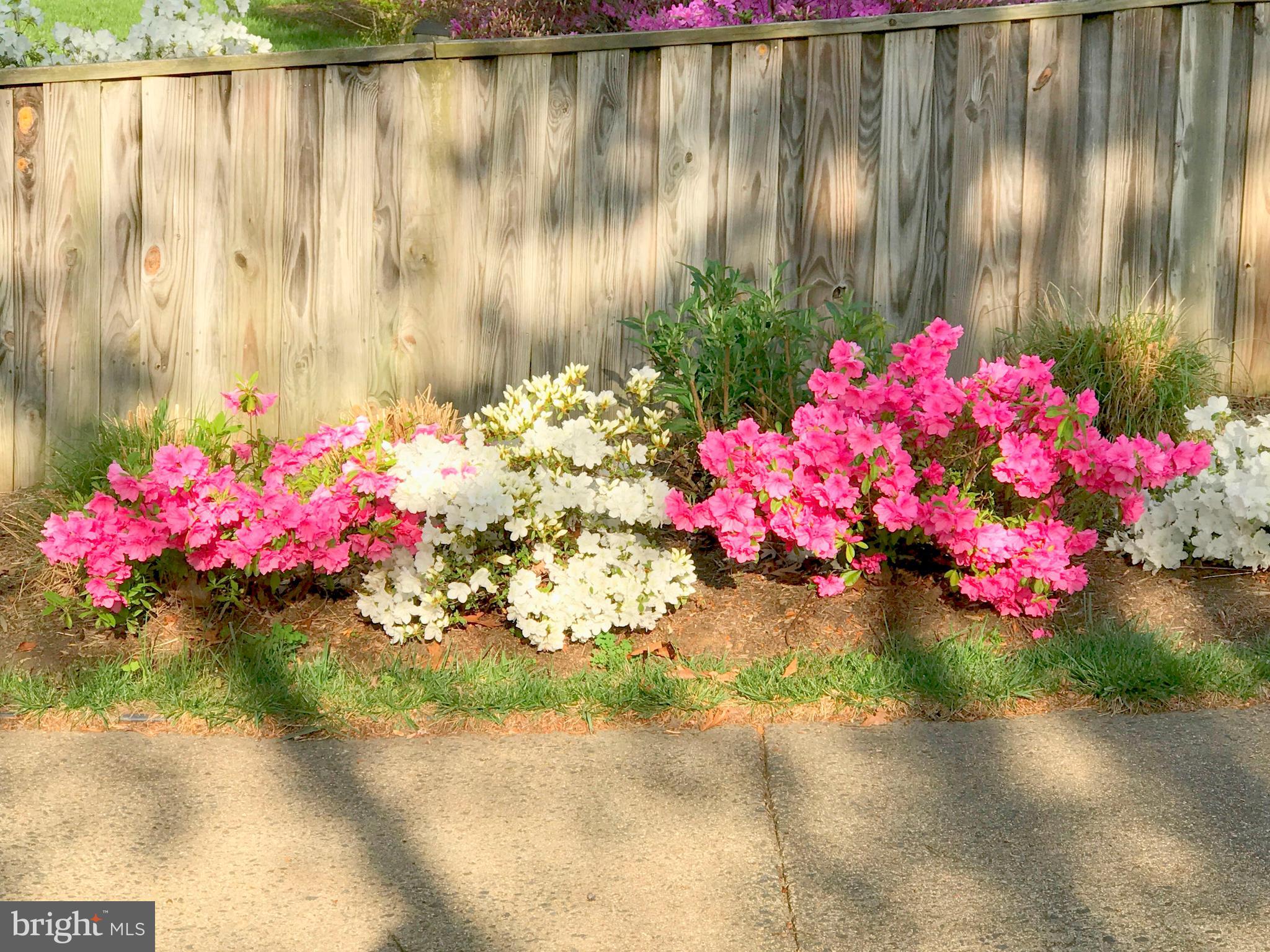 HICKORY FARMS - Residential