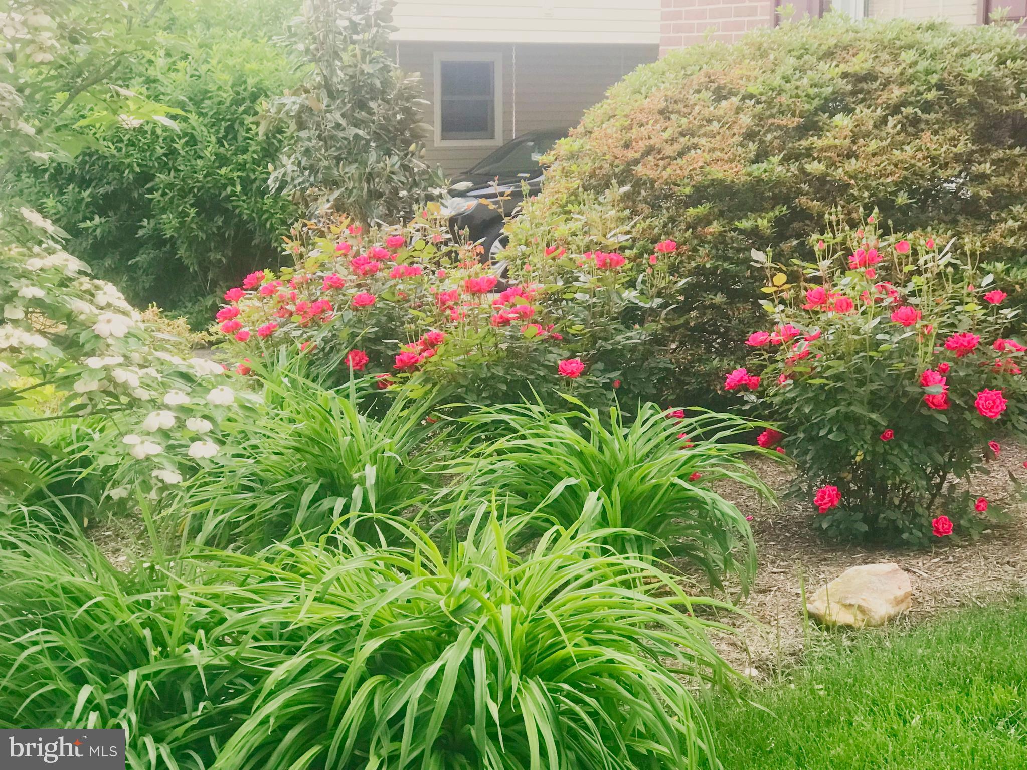 HICKORY FARMS - Residential