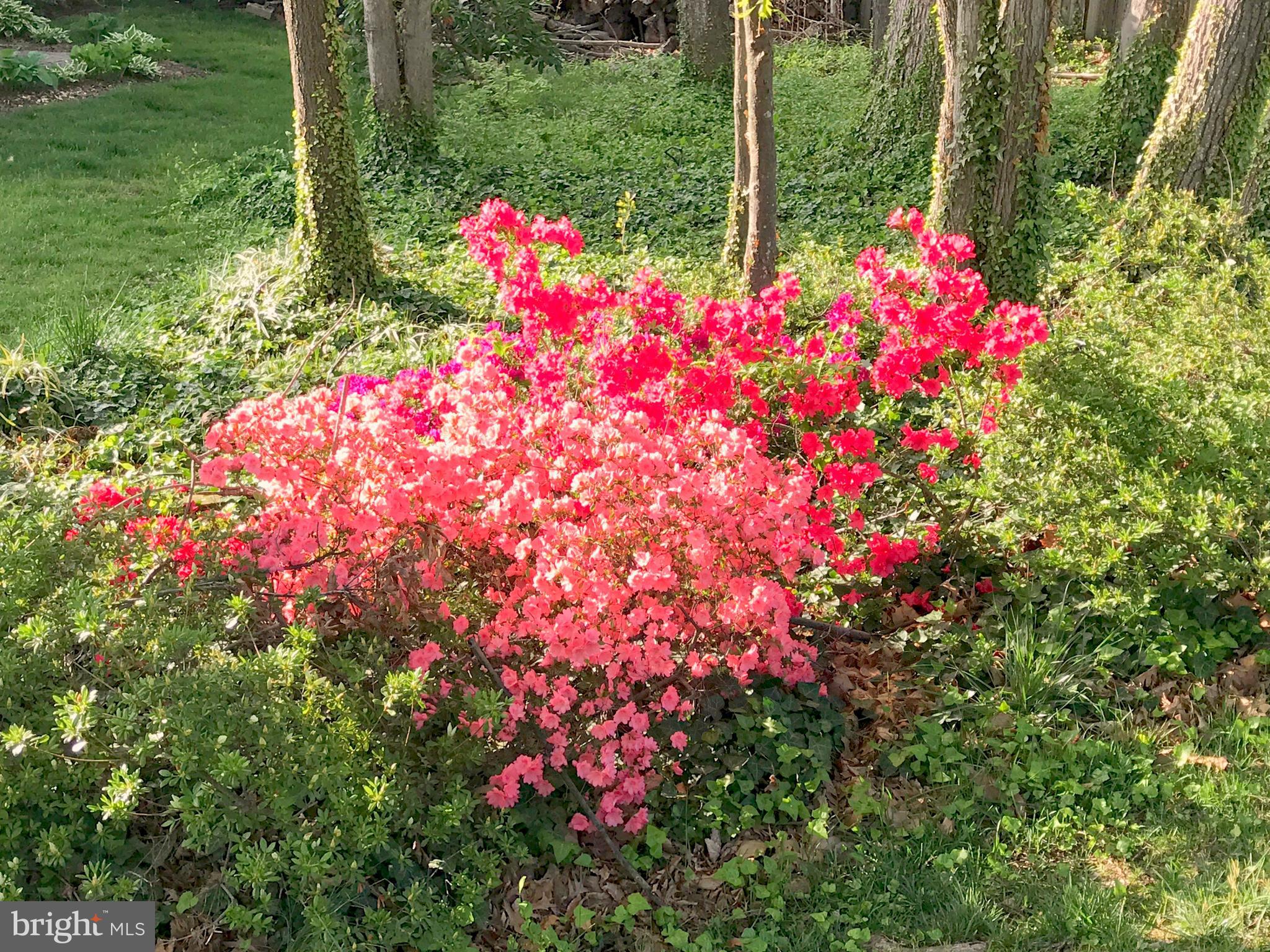 HICKORY FARMS - Residential