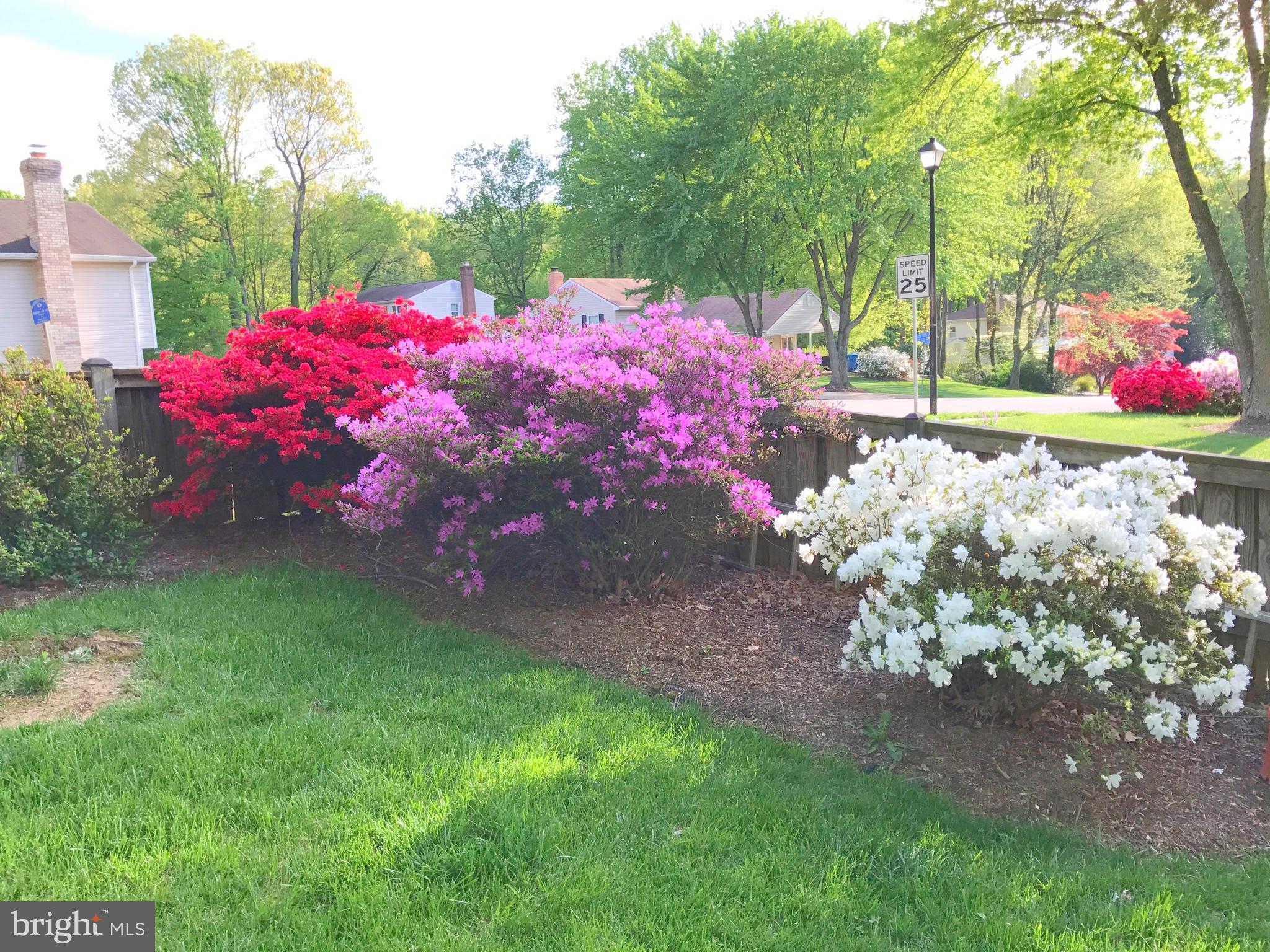 HICKORY FARMS - Residential