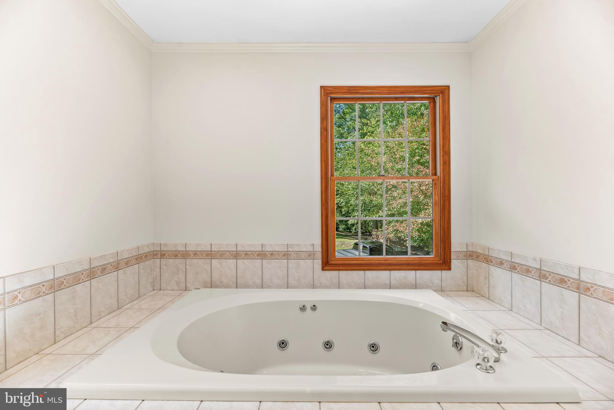 WILLOWBROOK CLUSTER - Residential