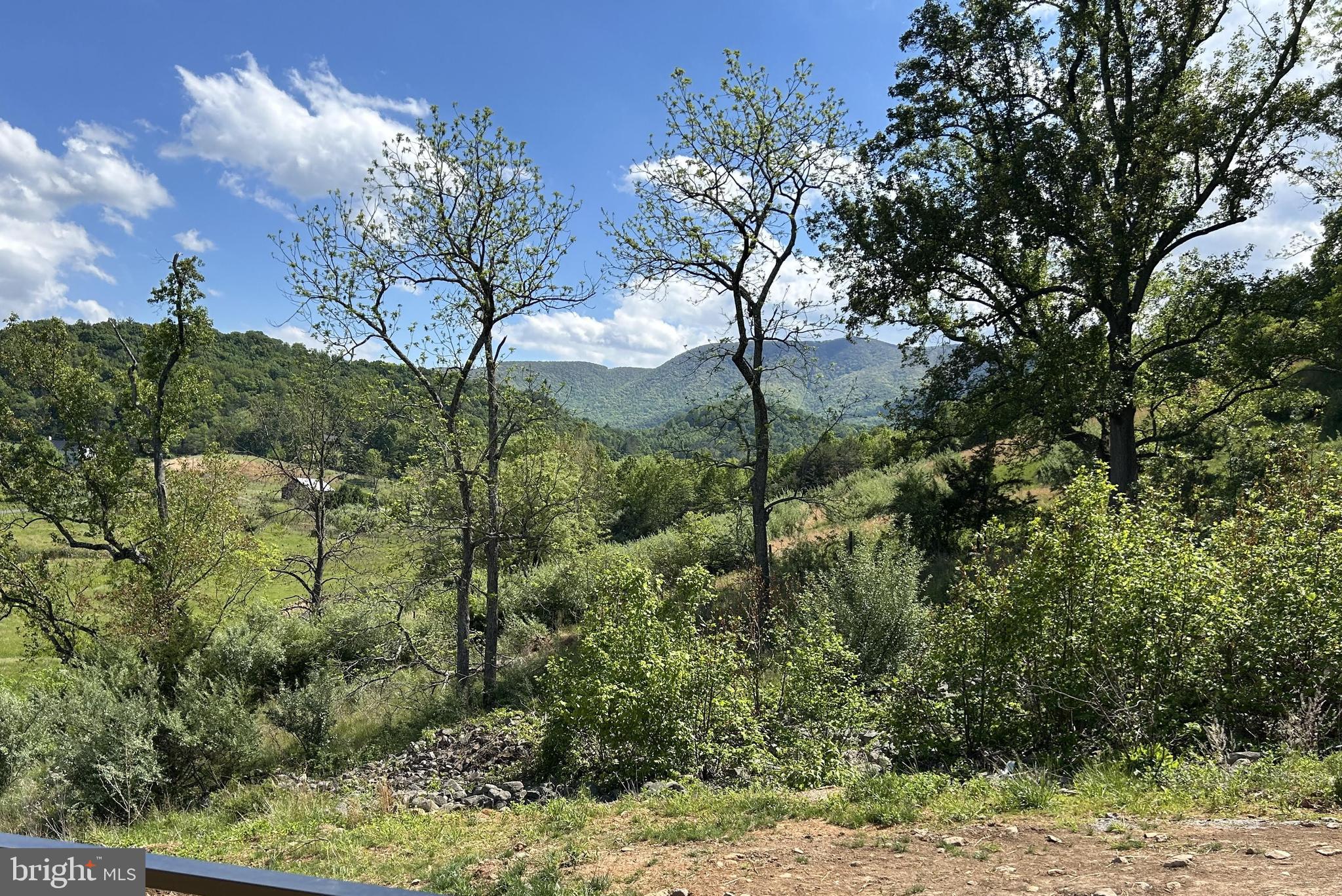 732 GOONEY MANOR LOOP