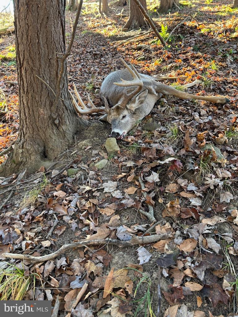 CLEARFIELD BOROUGH - Residential