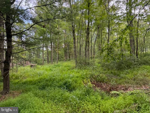 CLEARFIELD BOROUGH - Residential