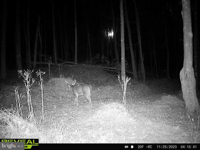 CLEARFIELD BOROUGH - Residential