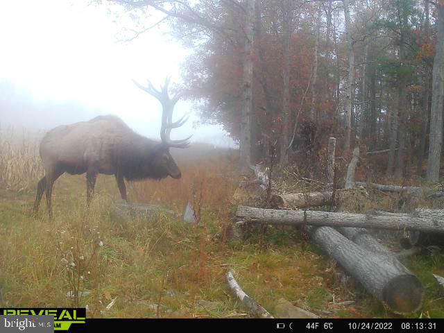 CLEARFIELD BOROUGH - Residential